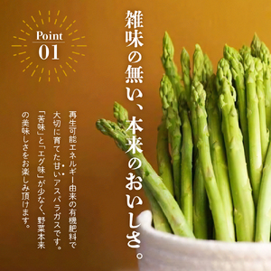 《 先行予約 》【 令和8年産 夏芽 】アスパラガス 1kg 1箱〔 発送 ： 2026年7月中下旬 ～ 9月下旬頃 まで 〕 朝採り 有機質肥料栽培
