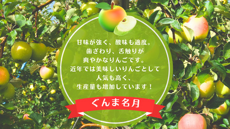 【訳あり】青森りんご田子の家庭用ぐんま名月 約5kg （11月出荷）