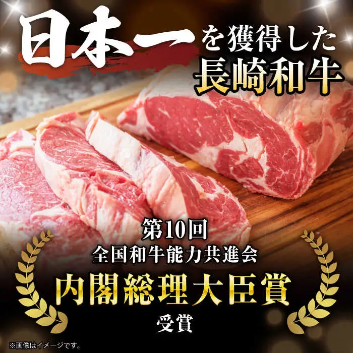 【3回定期便】 【一口で広がる贅沢な旨味！】長崎和牛 A5 ヒレサイコロステーキ 400g / ヒレ ひれ ヒレステーキ ステーキ すてーき サイコロステーキ / 諫早市 / 野中精肉店 [AHCW106]