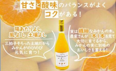 山北みかんジュース720ml2本 - 果汁100％ 高知県産 ブランドみかん 温州みかん ストレートジュース 果物 フルーツ 柑橘 オレンジ yk-0074