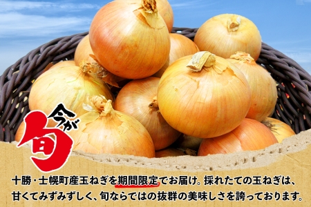 《期間限定》北海道 士幌産 たまねぎ 玉ねぎ タマネギ 玉ネギ 玉葱 10kg (2026年12月発送予定)  採れたて オニオン 旬の野菜 期間限定 新鮮 野菜 産地直送 産直 お取り寄せ 送料無料 十勝 士幌町 【V07】