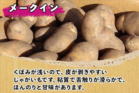 【10月より順次発送予定】北海道 じゃがいも メークイン 10kg 北海道産 十勝産 ジャガイモ 芋 いも ポテト お取り寄せ まとめ買い 送料無料 十勝 士幌町【V05】