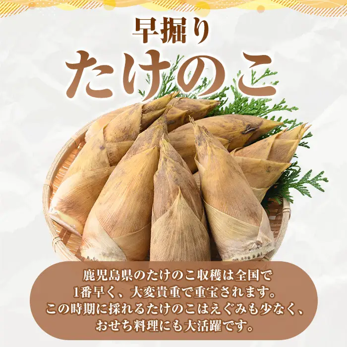 ＜先行予約受付中！2026年12月上旬以降順次発送予定＞訳あり！鹿児島県産 早掘りたけのこ(約2kg) 国産 野菜 たけのこ タケノコ 筍 旬 煮物 水煮 天ぷら つくだ煮【松永青果】akn053-29