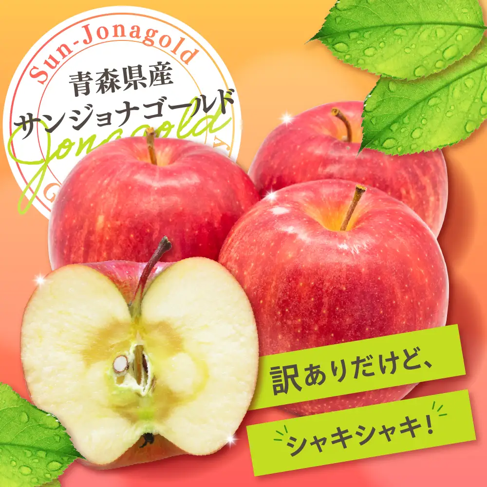 【10月後半以降順次発送】 りんご 約10kg 訳あり サンジョナゴールド 青森県産 りんご