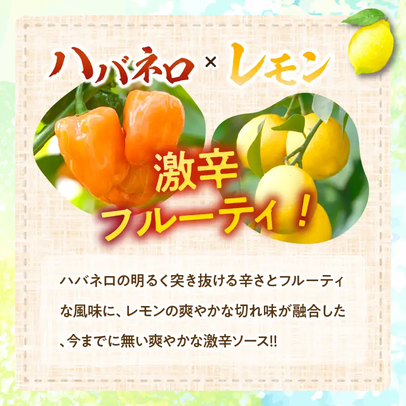 爽やか激辛食感 フルーティなハバネロソース 数量限定 宮崎 ハバネロ ソース 計1本 激辛ソース 調味料 おすすめ 加工品 オリジナル ブレンド 肉料理 パスタ ピザ ギフト プレゼント 贈り物 お取り寄せ 宮崎県 日南市 送料無料_ZW1-24