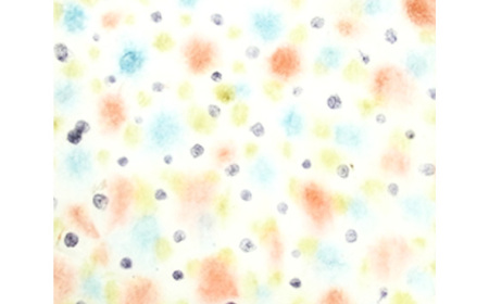 和紙の手作りランプ（ぼかし絵KR-34A）［No.407-14］