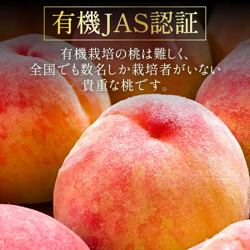 【2026年先行予約】有機の桃6個入り  [h019]