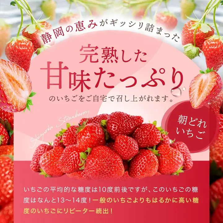 【2027年 先行予約】 農家直送！甘くて大好評　静岡いちご　DX　高糖度　1100g 程度（270～280g×4パック）甘くて地元大人気！やみつきリピーター多数　御前崎産　数量限定