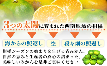 【先行予約】＜極早生小玉みかん ご家庭用 約4kg＞ ご家庭用 果物 フルーツ みかん ミカン 蜜柑 オレンジ 柑橘 食べて応援 特産品 宇都宮物産 愛媛県 西予市 【常温】『2026年9月下旬～10月中旬迄に順次出荷予定』UUB0046