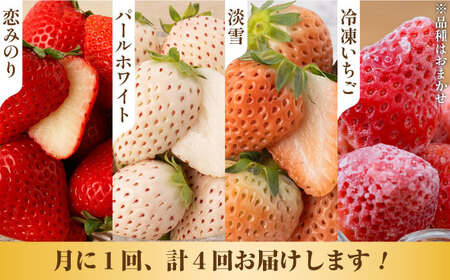 【先行予約 2027年2月～発送】【4回定期便】希少いちご 赤白食べ比べ / いちご [IZZ005]