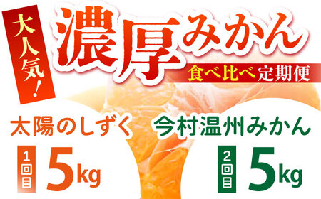食べくらべ定期（太陽のしずく・今村温州みかん）[HCE003] みかん 果物