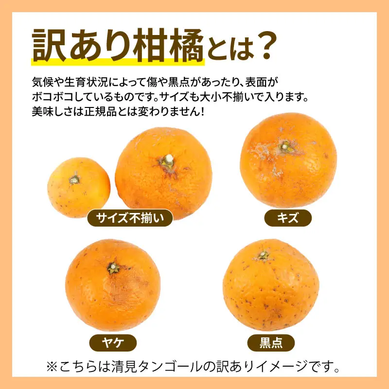 訳あり 人気柑橘 3回 定期便 マル南フルーツ 愛果28号 【紅まどんなと同品種】 まどんな せとか 早生温州 B030-106045