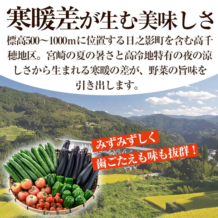＜数量限定・期間限定＞高千穂地区高冷地野菜詰め合わせ(5種) やさい きゅうり ピーマン トマト ミニトマト なす 茄子 冷蔵 季節 新鮮 旬 産地直送 【NK017】【宮崎県農業協同組合　高千穂地区本部】