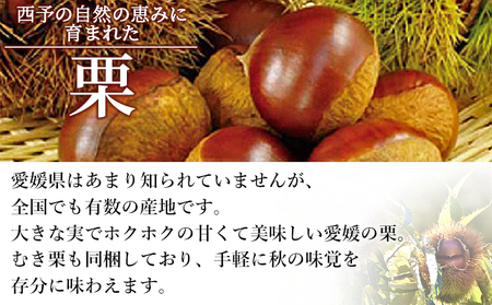 【先行予約】＜栗尽くしセット（むき栗150g×2袋・生栗1kg）愛媛県西予市産＞ くり 生栗 剥き栗 フルーツ マロン モンブラン 家庭用 栗ご飯 栗きんとん 栗の甘露煮 秋の味覚 特産品 国産 宇都宮物産 愛媛県 西予市【冷蔵】『2026年9月中旬～10月下旬迄に順次出荷予定』UUB0051