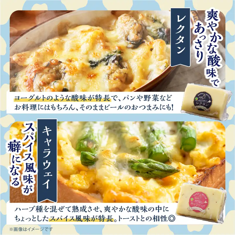 《人気No1》手造りチーズセット チーズ_H0003-102