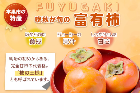【先行予約】令和8年産 富有柿 2L 12個 ｜《2026年11月上旬より発送予定》カキ かき 果物 くだもの フルーツ 高橋柿ファーム 岐阜県 本巣市 [mt481] 12000円 [mt481_26]	