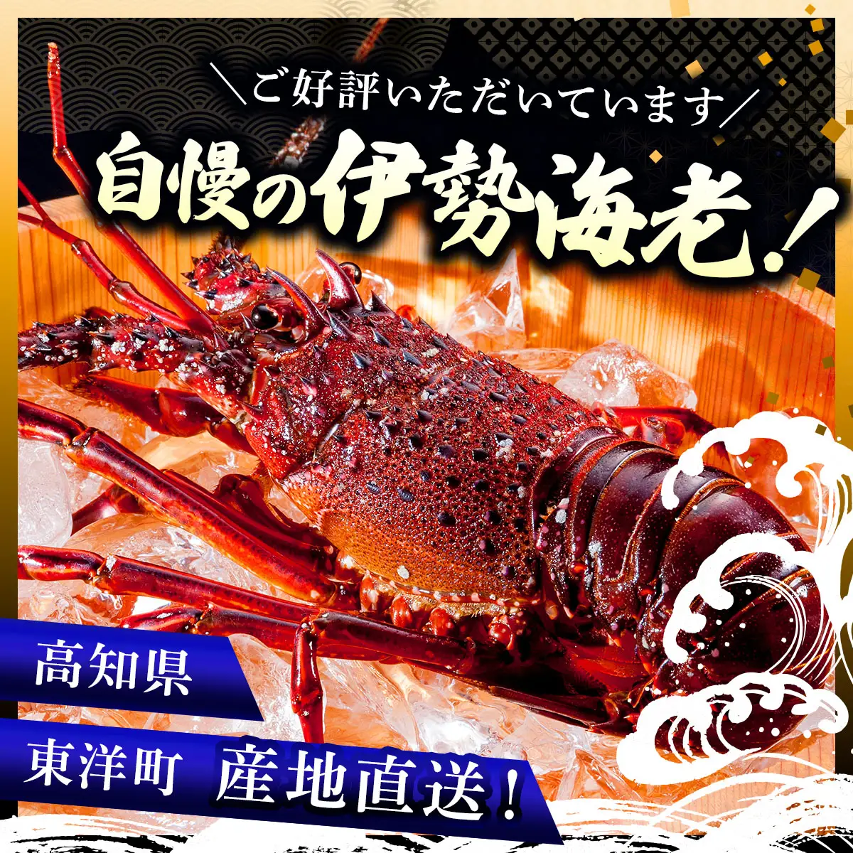 リピーター続出！伊勢海老 600～700g（1～3尾）