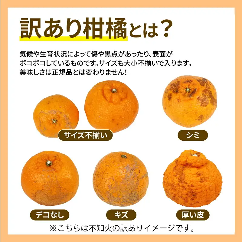 訳あり 人気 柑橘 4回定期便 マル南フルーツ 宇和島みかん 南柑20号 蜜柑 mikan みかん ポンカン 媛小春 不知火 定期便 果物 くだもの 愛媛県産 訳アリ 訳あり品 訳有り フルーツ 産地直送 国産 愛媛 宇和島 B040-106046