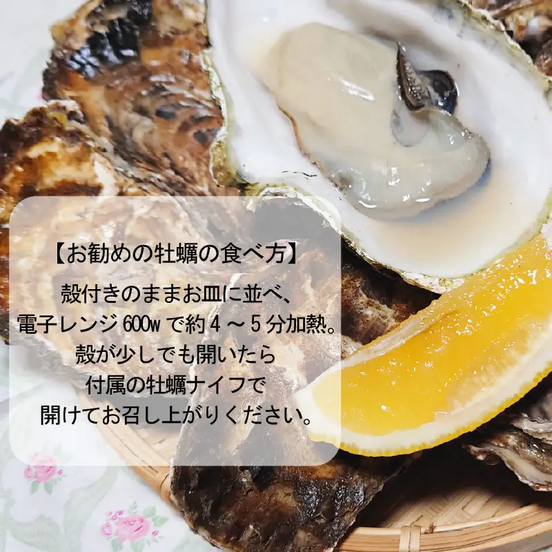 【予約：2026年10月下旬から順次発送】サロマ湖産 殻付き2年牡蠣 3kg サイズ不揃い ※牡蠣ナイフ付 ( カキ かき 3キロ 魚介 海鮮 貝 ふるさと納税 BBQ バーベキュー )【113-0015-2026】