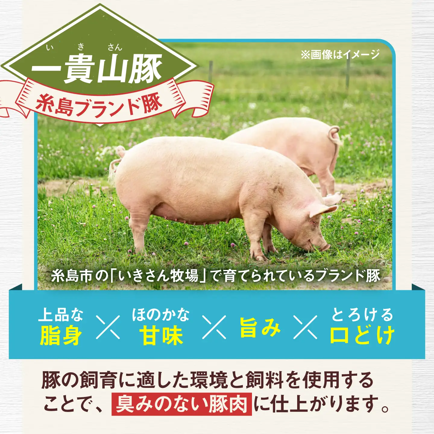 一貴山豚 しゃぶしゃぶ 食べ比べセット スライス3種750g＋つくね200g 糸島市 / いきさん牧場 豚肉 セット [AGB061]