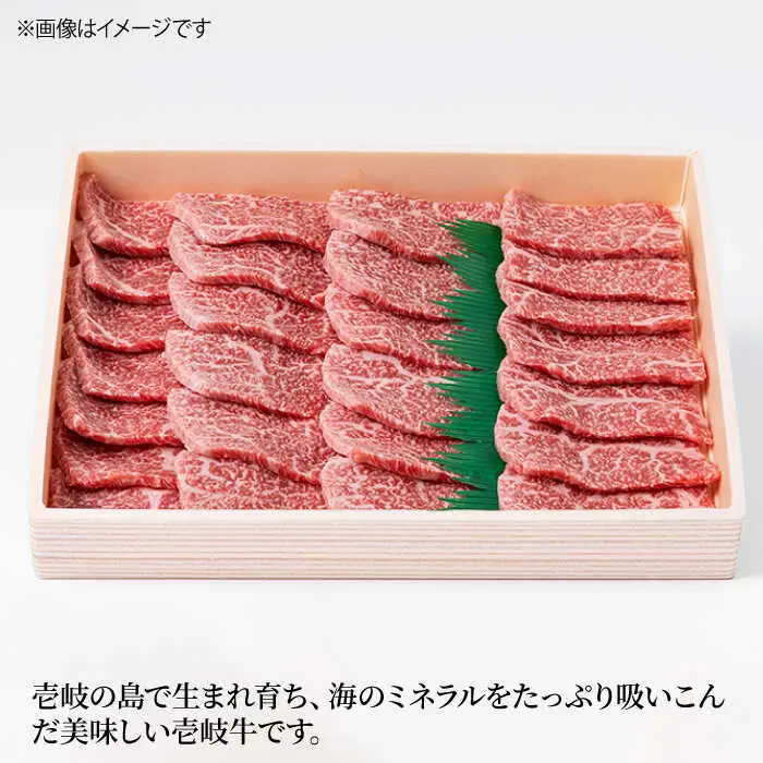 【全2回定期便】壱岐牛焼き肉セット 500g《壱岐市》【株式会社ヤマグチ】牛肉 黒毛和牛 ブランド牛 九州 肉 [JCG126]