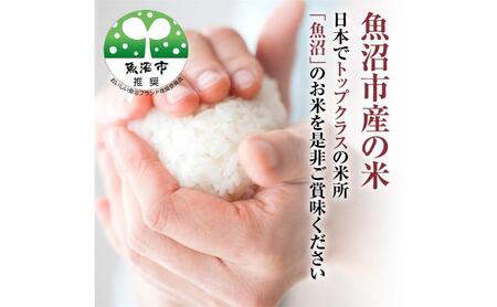 【令和8年産　新米先行受付】米農家自慢の特別栽培米魚沼産コシヒカリ(精米)10kg 白米 お米 こめ コメ 魚沼産コシヒカリ こしひかり 魚沼