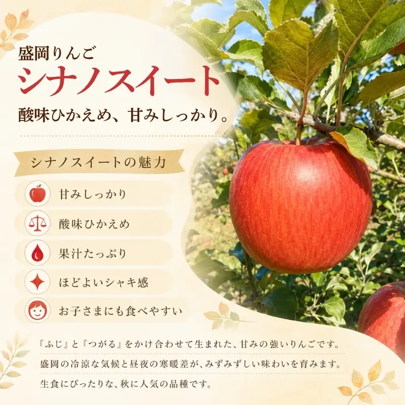 期間限定 訳あり シナノスイート 3kg(8~12玉) りんご シナノスイート 田村ふぁーむtamura005