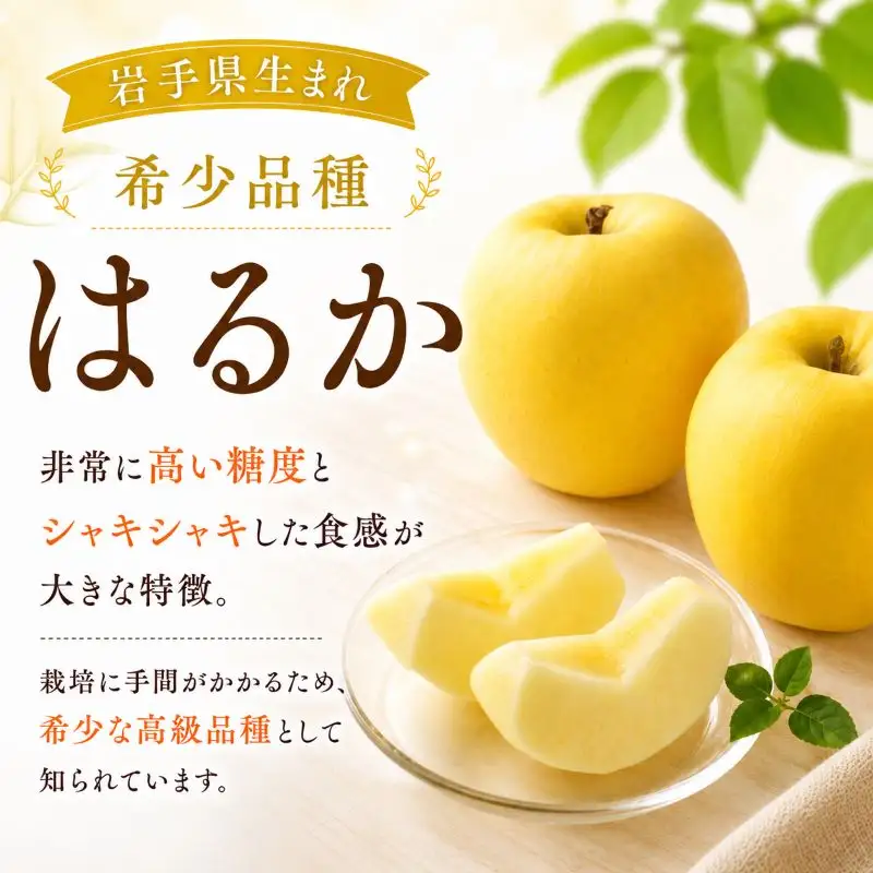 【12月発送】はるか りんご 3kg 8～12玉 北田りんご園 kitada009 りんご