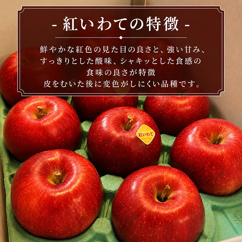 【9月下旬～発送】紅いわて りんご 3kg (8～12玉)  北田りんご園 りんご kitada010