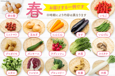 CH113 野菜 フルーツ 定期便6回 旬のおまかせセット 野菜 フルーツ13～14品目 卵6玉 ◎