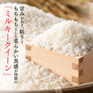 【令和8年産】村井農園産ミルキークイーン（精米）5kg 【 米 お米 白米 精米 ミルキークイーン 国産 宮崎県産 おにぎり 】