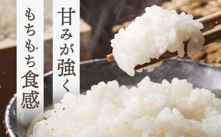 【 令和6年産】弥山岳の岩清水で育ったノガミファームの お米 白米 2kg 桂川町/NOGAMI FARM [ADAU003] コメ 米 こめ 白米 ご飯 2kg 農家 直送