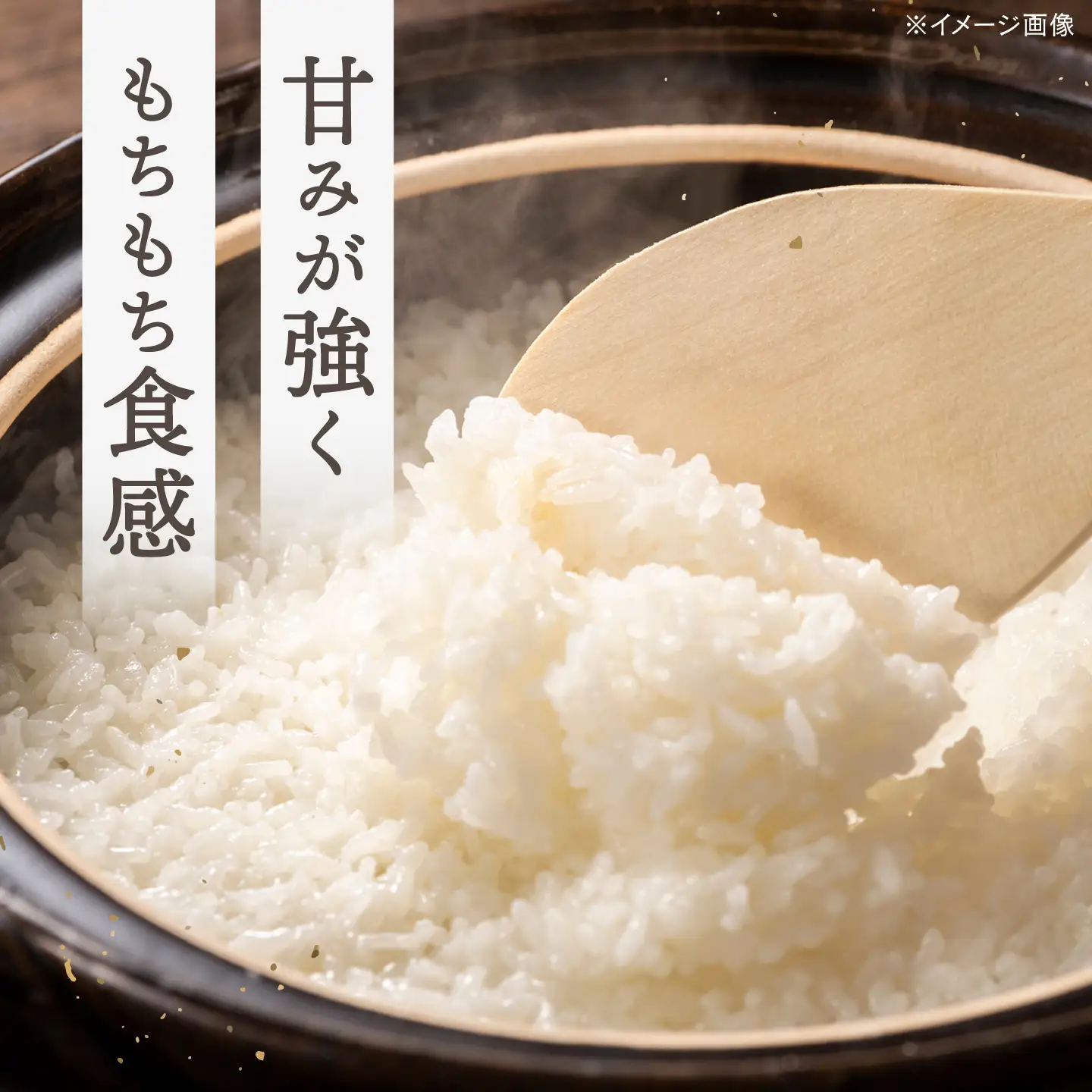 【 令和7年産】弥山岳の岩清水で育ったノガミファームの お米 白米 10kg 桂川町/NOGAMI FARM [ADAU005] 米 白米 お米 コメ こめ 小分け 農家 直送 