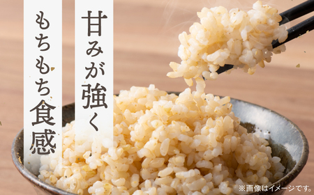 【 令和6年産】弥山岳の岩清水で育ったノガミファームの お米 玄米 2kg ▼ 玄米 米 コメ お米 2kg 農家 直送 桂川町/NOGAMI FARM [ADAU008]