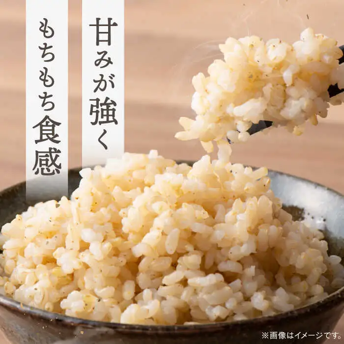 玄米 5kg ノガミファーム[ADAU009] 米 玄米5キロ
