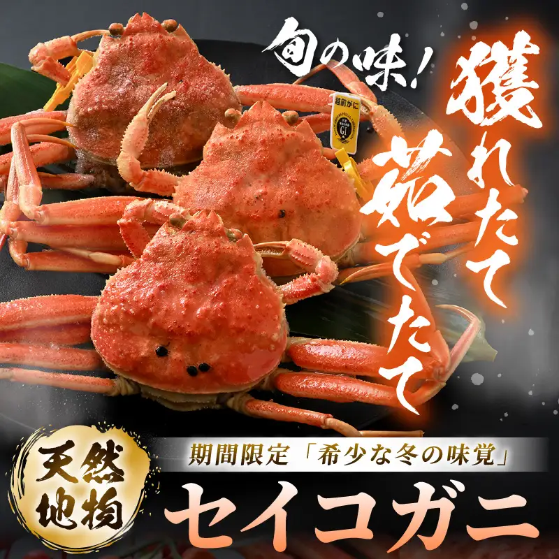 先行予約【冷蔵】 旬のセイコガニ 小 3杯 計300g以上（茹で前） 説明書付き 【2026年11月上旬以降順次発送予定】 ズワイガニ メス せいこがに  [m21-x001_11]