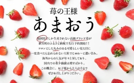 人気１位獲得謝礼品★限定品★博多あまおう約５４０g（先行受付／２０２７年２月以降発送）.ZH205【あまおう】