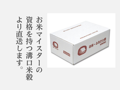 米 こしひかり10kg 鳥取県産 こめ 精米 コシヒカリ 令和8年産 送料無料 1053