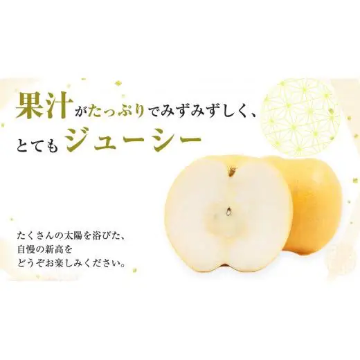 【 2026年9月下旬発送開始 】 茨城県産 梨 新高 （約 5kg ） 6～12玉