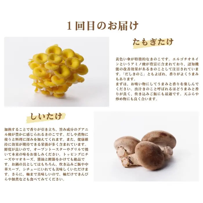 【3回定期便】オーガニックきのこ 5種 定期便