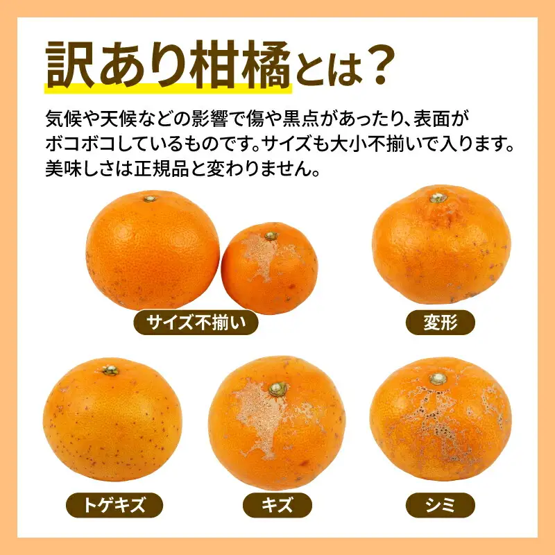 訳あり せとか 5kg マル南フルーツ せとか B012-106023