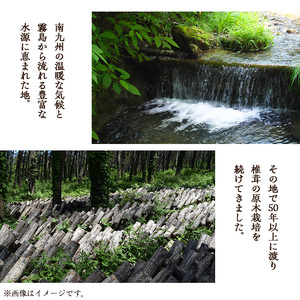 きのこ 国産 しいたけ 粉末(計240g・3袋)【九南サービス(タマチャンショップ)】A502-v01