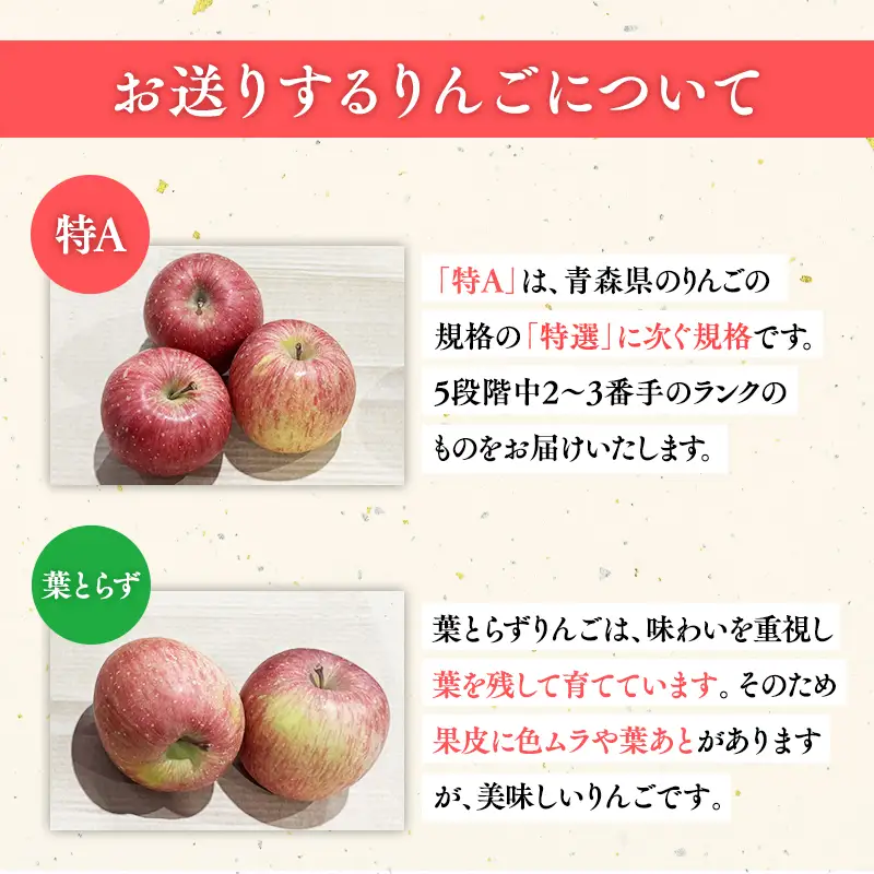 りんご サンふじ 約5kg りんご