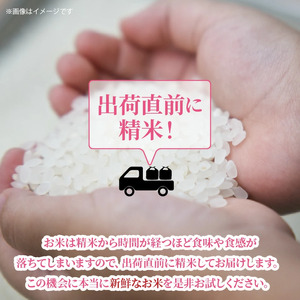 【先行予約・令和8年産新米】農家直送! 徳丸農園のお米6kg (なつほのか / にこまる各3kg)_2462R