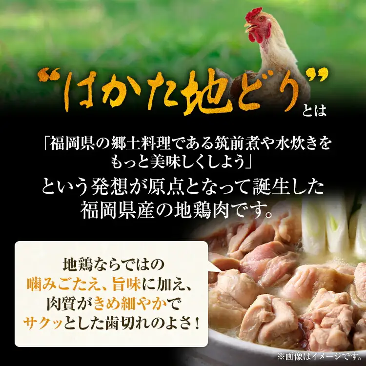 福岡限定 はかた地どり水炊きセット 3～4人前 お取り寄せグルメ お取り寄せ お土産 九州 福岡土産 取り寄せ グルメ MEAT PLUS CP038