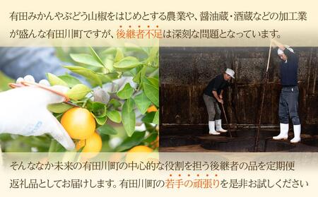 有田川町後継者応援定期便 1月発送 ちょっと傷あり 八朔（4～6玉） と 2月発送 天然醸造醤油＆特製だしぽん酢 【南泰園・カネイワ醤油】