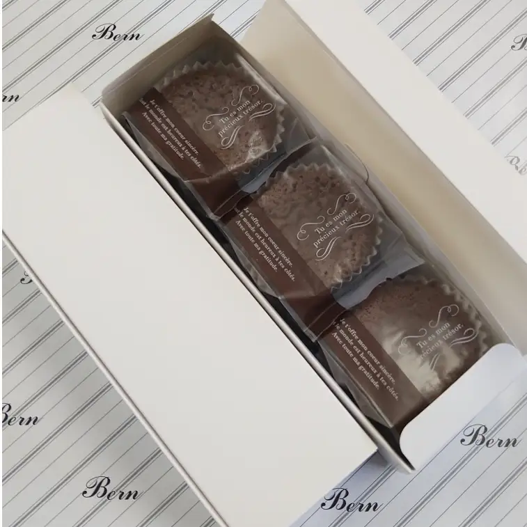 とろけるチョコケーキ【チョコレート 生チョコ 濃厚 おやつ プレゼント】(CK203)