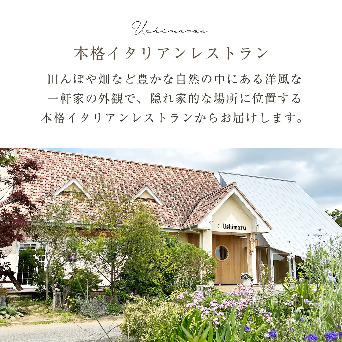 Ushimaruラザーニャ 約400g×1個 SMBM001
