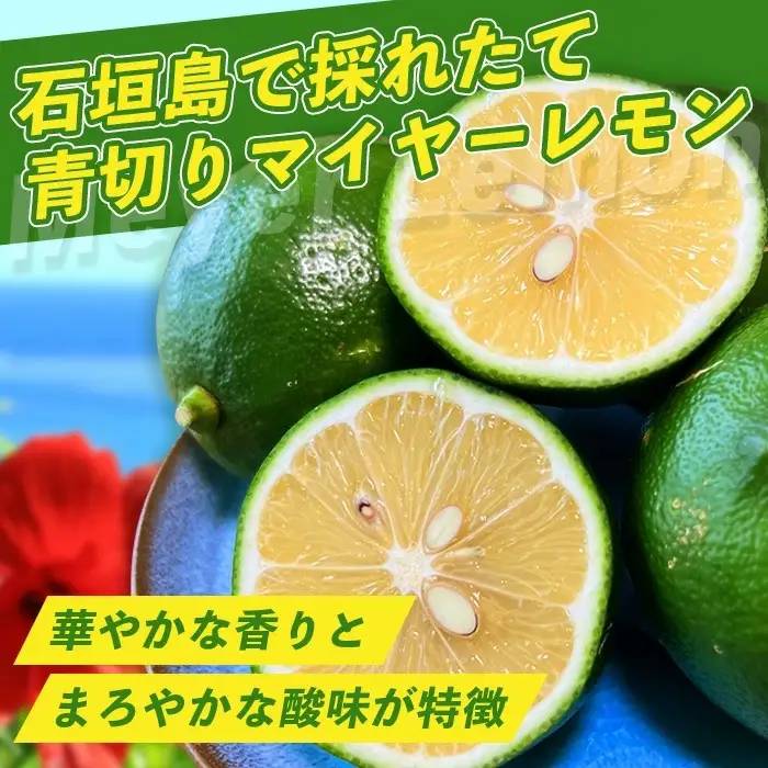 【先行予約】こだわりの青切りマイヤーレモン 約2kg (12～18個) 