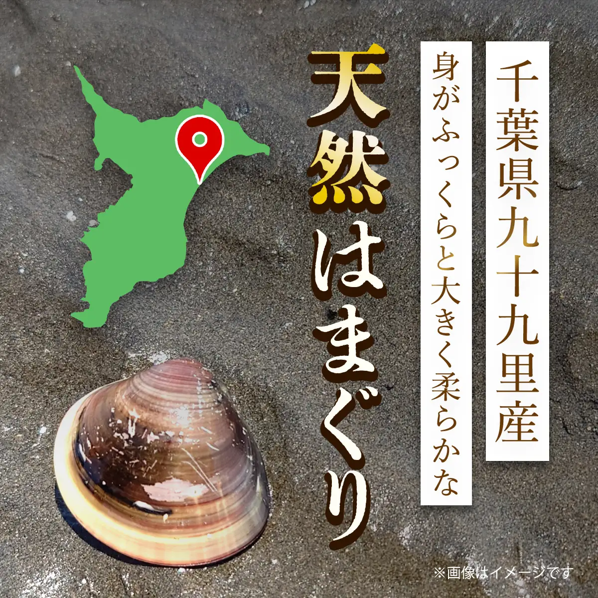天然はまぐり 1kg 九十九里産 新鮮なまま真空冷凍500g＋加熱調理のうえ真空冷凍500g SMAJ017 千葉県 山武市 はまぐり ハマグリ 蛤